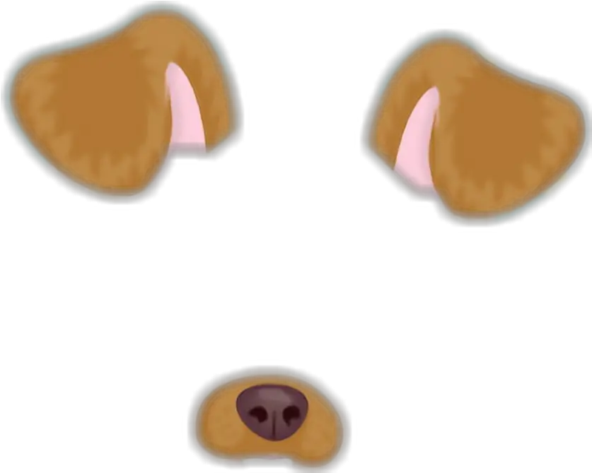 Dog Paddle Animal Doge Snapchat Snapchat Png Snapchat Heart Filter Png
