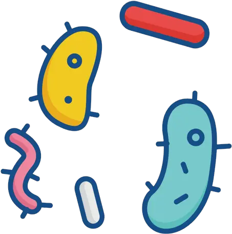 Bacteria Png Png Transparent Bacteria Png Bacteria Transparent Background