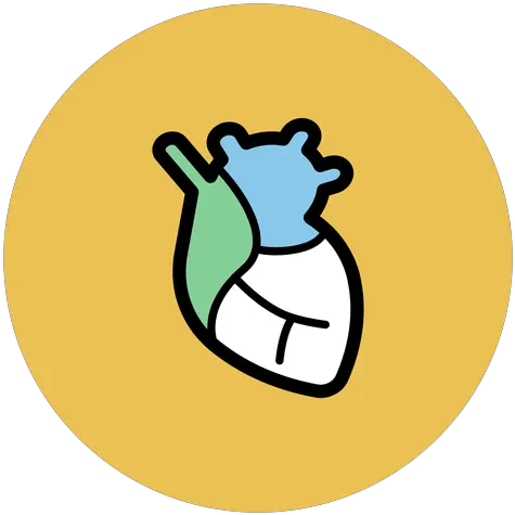 Transparent Png Svg Vector File Icono Del Organo Corazon Heart Organ Png