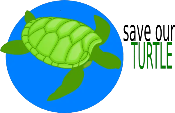 Save Our Turtle Clip Art Save Our Sea Turtles Png Turtle Clipart Png