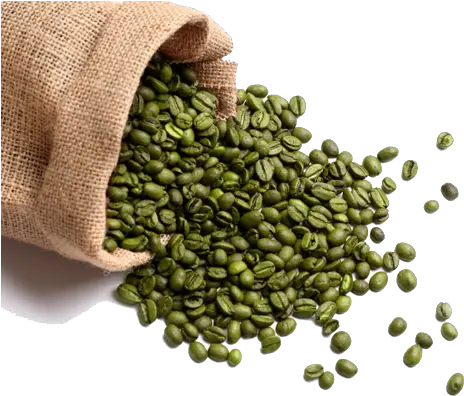 Green Coffee Bean Png 3 Image Coffee Bean Different Kinds Of Beans Green Beans Png
