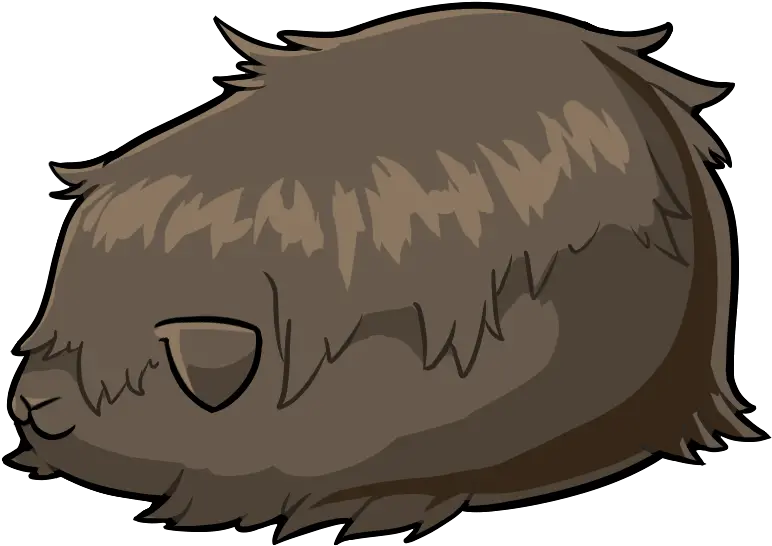 Guinea Pig Guinea Pig Png Porcupine Png