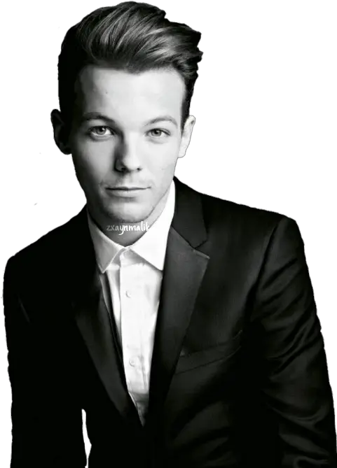 Download Louis One Direction Black And White Png Image With Harry Styles Liam Payne Louis Tomlinson Niall Horan Zayn Malik 2018 One Direction Png