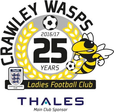 Cw 25logo Sgss Design Samsung Thales Png Cw Logo