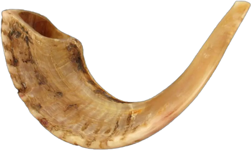 Shofar Horn Png Transparent Image Shofar Instrument Of Israel Horn Png