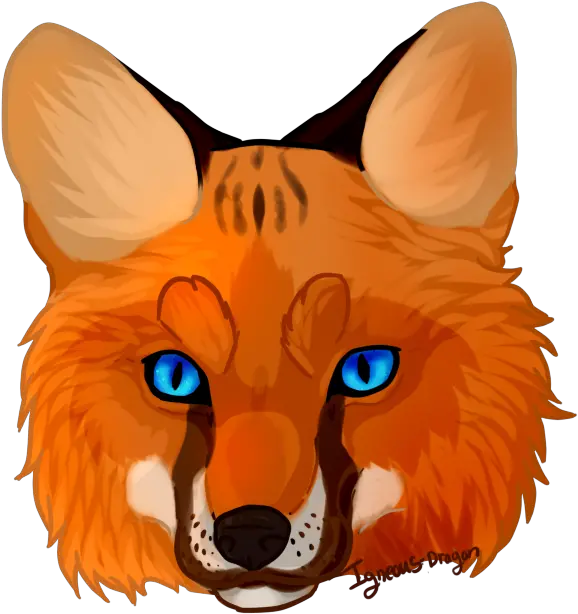 Png Images Transparent Fox Fox Face Clipart Fox Clipart Png