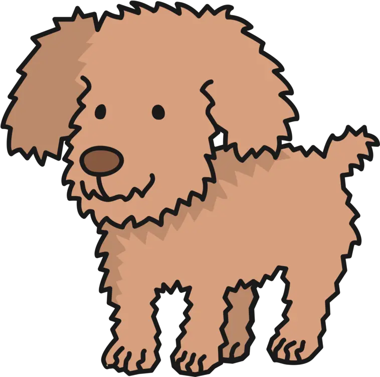 Toy Dog Poodle Lagotto Romagnolo Png Poodle Puppy Clipart Poodle Png