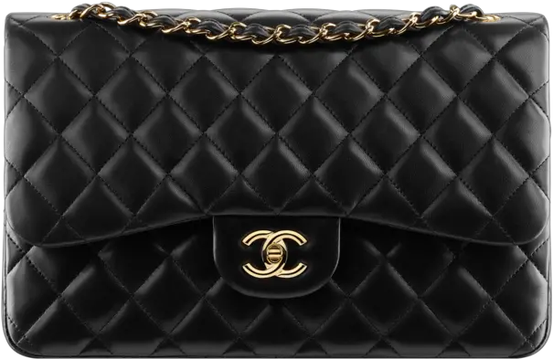 Classicflapnbsp Sheetpngfashionimghi The Passion Coco Chanel Transparant Png Chanel Png