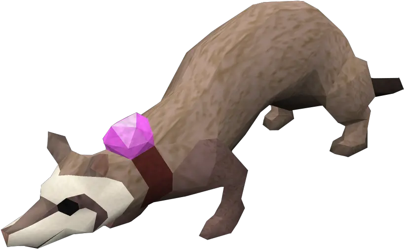 Ferret Dungeoneering The Runescape Wiki Runescape Ferret Png Ferret Png