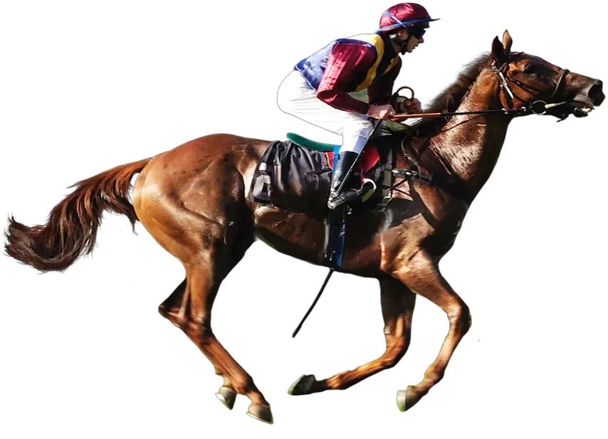 Horse Racing Transparent Background Png Horse Racing Png Horse Transparent Png