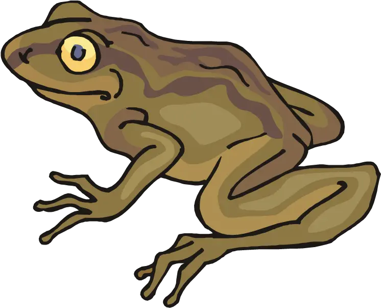 Clipart Frog Toad Toad Clipart Png Toad Png