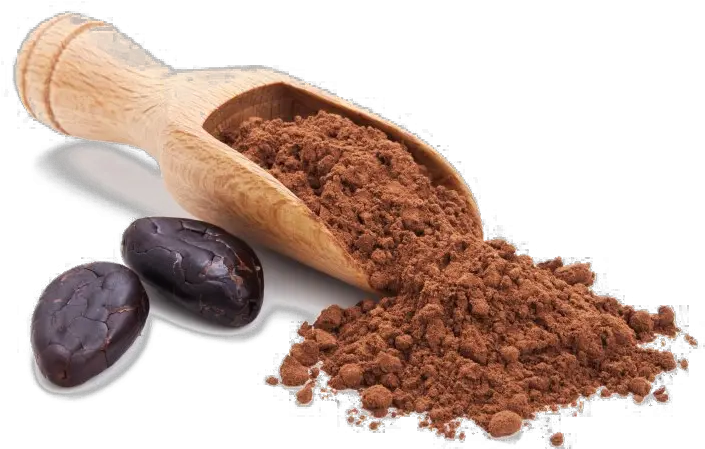 Cocoa Beans Transparent Background Cocoa Powder Png Cocoa Png