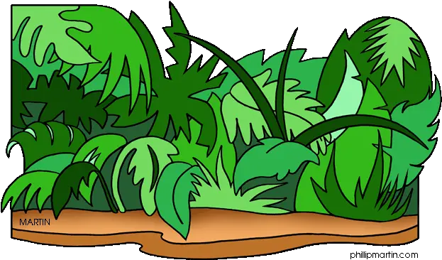 Free Jungle Cliparts Frames Download Clip Art Jungle Clip Art Free Png Jungle Border Png