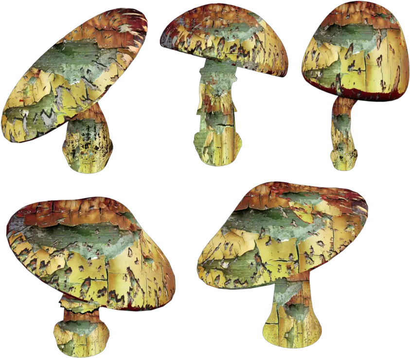 Trippy Mushroom Png Magic Mushroom Png Mushrooms Png