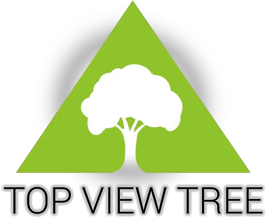 Top View Tree Tree And Stump Services Graphic Design Png Tree Top View Png