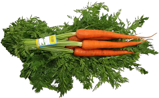 Carrots Vegetables Top View Png Full Size Png Download Vegetables Png Top View Carrots Png