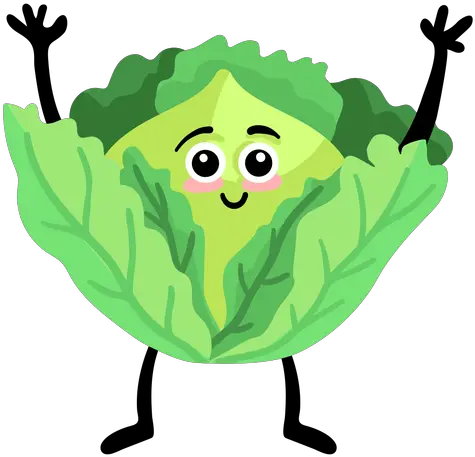 Cabbage Leaf Flat Transparent Png U0026 Svg Vector File Coco Desenho Fruta Png Cabbage Png