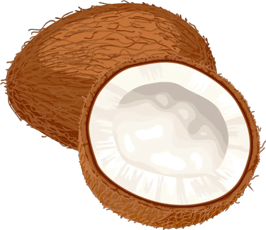 Coconut Oil Miracle Coconut Clipart Png Coconut Png