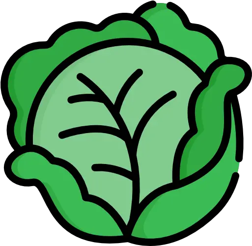 List Of Memory Boosting Foods Improve Brain Power Cabbage Icon Png Brain Power Icon
