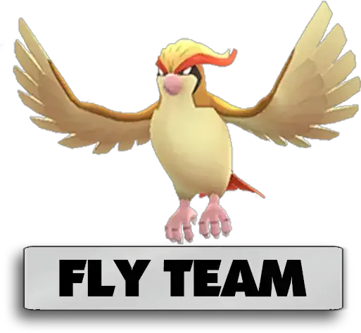 Go Indaiatuba 2 Pidgey Pokemon Png Pokemon Go Logo Transparent