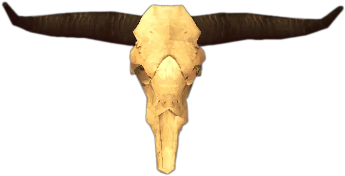 Bull Skull Horn Png Cow Skull Png