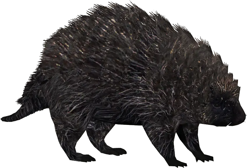 Download Hd North American Porcupine 3 Porcupine Png Porcupine Png