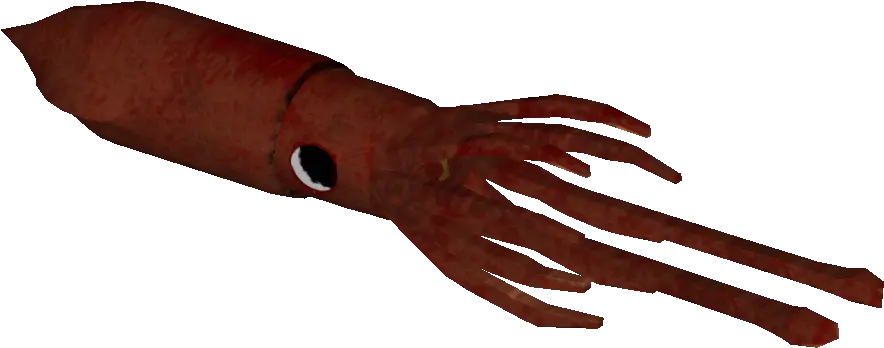 Download Squid Blood Png Squid Png