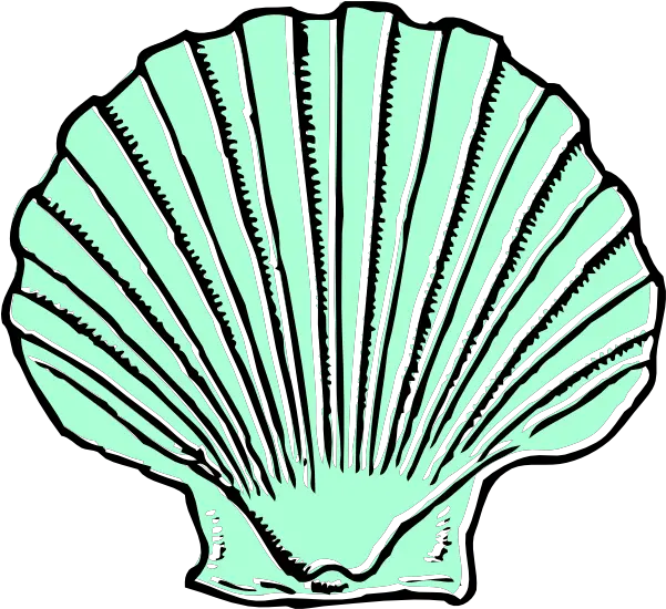 Aqua Seashell Clip Art Shell Clip Art Png Sea Shells Clip Artblack And White Sea Shells Png