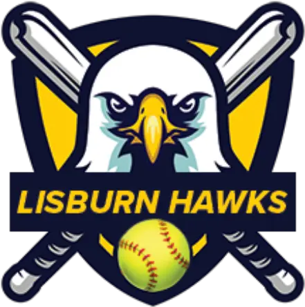 Intro League 2021 Go Hawks Baseball For All Nationals 2021 Png Softball Icon