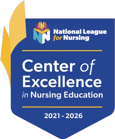 Online Nursing Programs And Healthcare Degrees Wgu Language Png Health Icon Nursing School