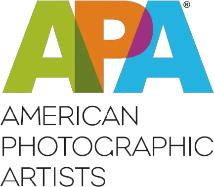 Download Apa Logo National Chanel Logo With Color Full American Photographic Artists Logo Png Chanel Logo Images