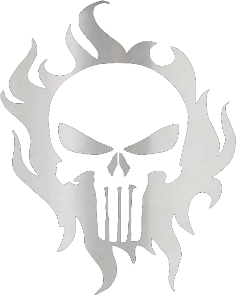 Punisher Skull Flames 20oz Tumbler Small Batch Customs American Flag Punisher Skull Meaning Png Punisher Skull Png