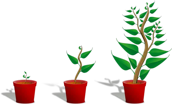 2000 Free Plant Pot U0026 Images Pixabay Getting To Know Plants Png Pot Leaf Transparent Background