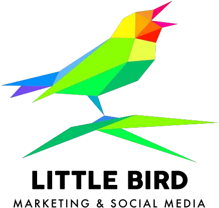 Logo Design And Branding For Minneapolis Small Businesses Logo Designs On Websites Png Bird Logo