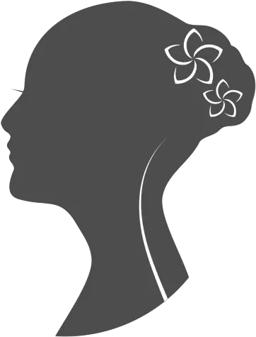 Woman Face Vector Png Picture 608124 Face Vector Beauty Logo Face Silhouette Png