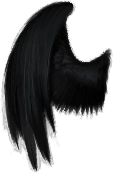 Download Black Wings Png Transparent Png Png Images Dark Angel Wings Png Wing Png