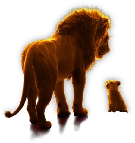 The Lion King U2013 Ryder East African Lion Png Lion King Transparent