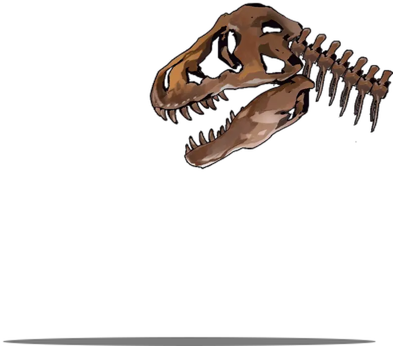 Museum Trip Gfldb Tyrannosaurus Png Dinosaur Skull Png
