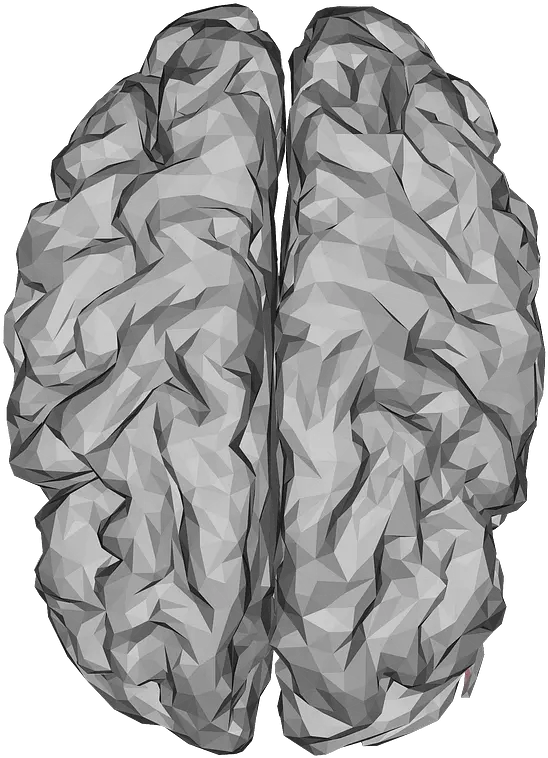 Low Poly 3 D Brain Clipart Free Download Creazilla Brain 3d Model Free Low Poly Png Brain Clipart Transparent