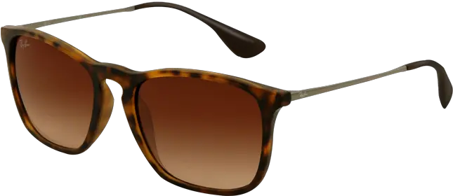 Ray Ray Ban Chris Png Chris Brown Transparent