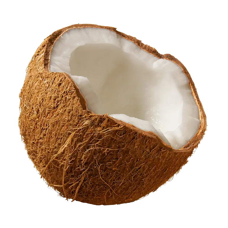 Download Coconuts Png Image For Free Coconut Png Coconut Png