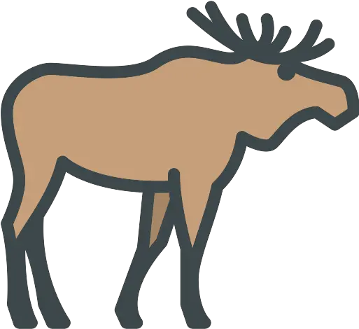 Moose Png Icon Moose 512 X 512 Moose Png