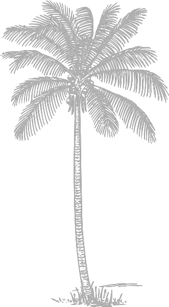 Gray Palm Tree Clip Art Vector Clip Art Palm Tree Drawing Png Palm Tree Png Transparent