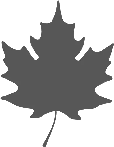 Simple Maple Leave Silhouette Transparent Png U0026 Svg Vector Vector Maple Leaf Png Fall Leaf Transparent