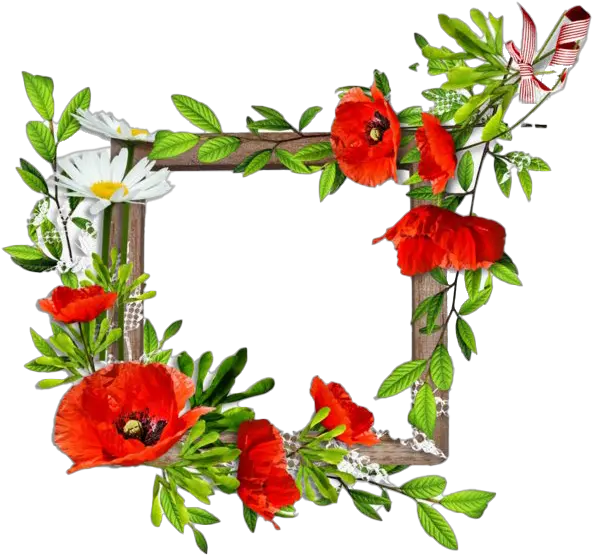 Poppy Flower Frame Png Clipart Png Latest Flower Background Poppy Png