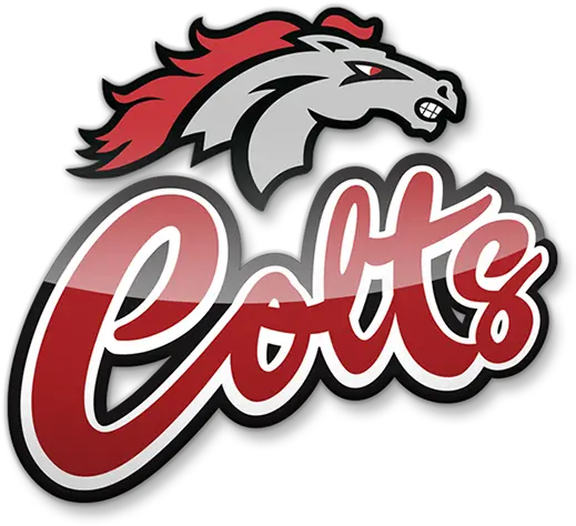 About Graphic Design Png Colts Logo Png