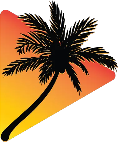 Get Video Distribution Create Vevo Channel Three Coconut Palm Tree Silhouette Png Vevo Icon