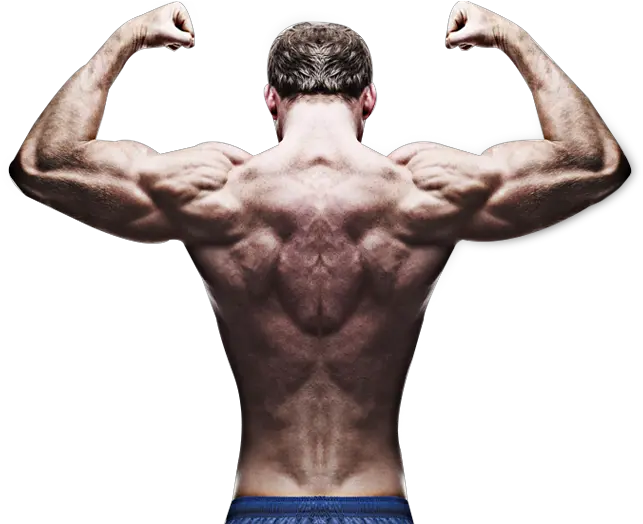 Home Bodybuilder Back Pose Png Body Builder Png