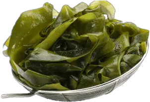 Fresh Seaweed Transparent Png