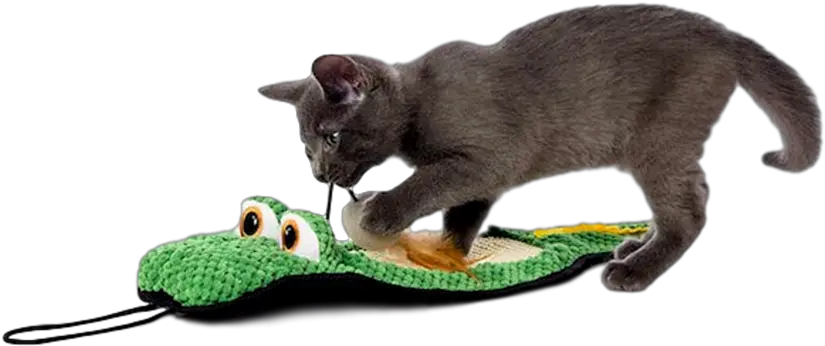 Hartz Gator Scratch Pad Cat Toy Cat Toy Png Scratch Cat Png